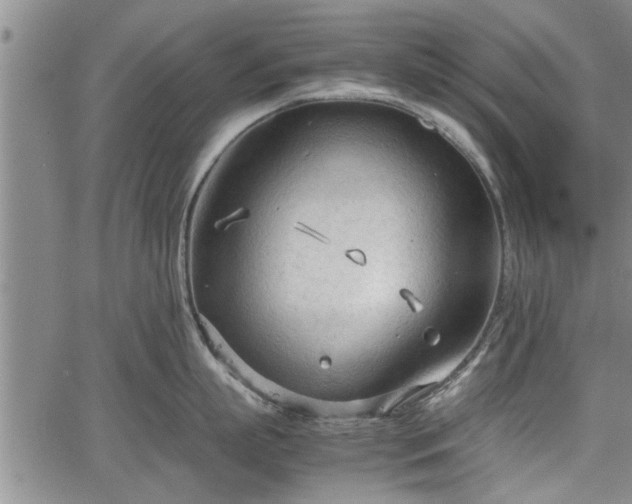 X0000067520863200604101325