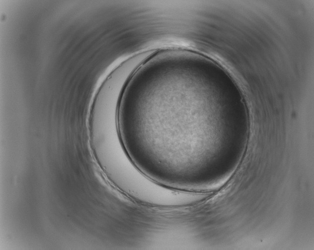 X0000067520864200604101325