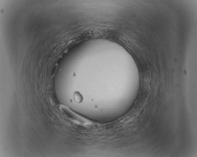 X0000067520865200604101324