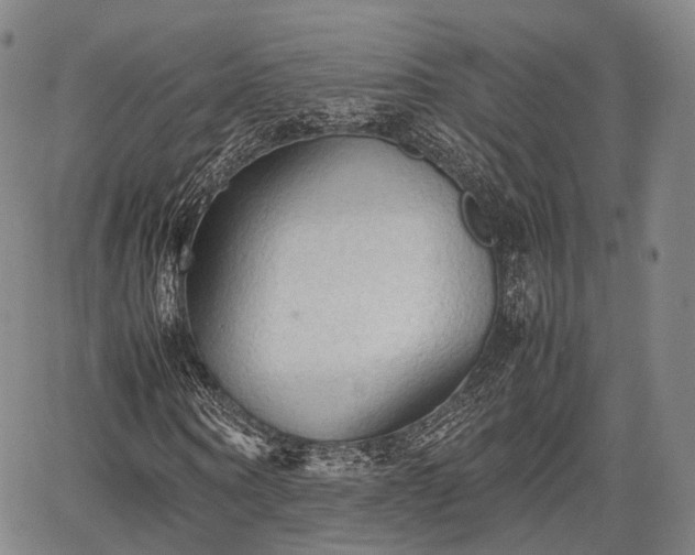 X0000067520866200604101324