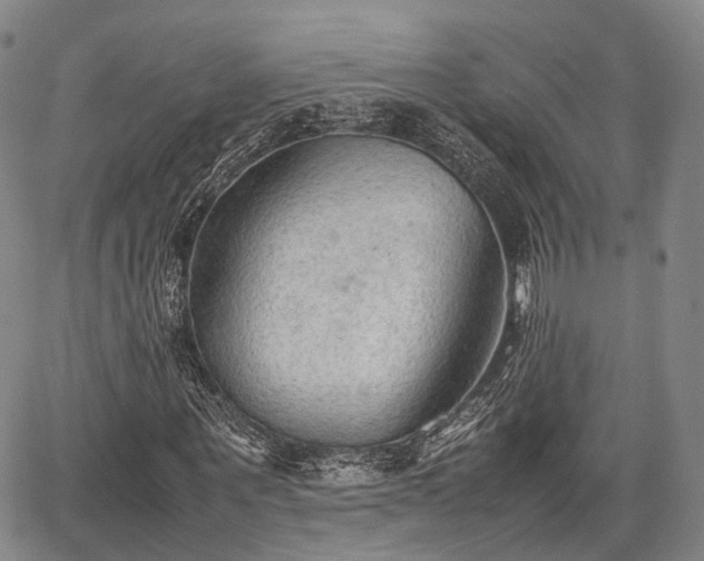 X0000067520867200604101324