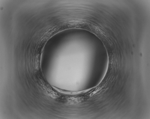 X0000067520868200604101324