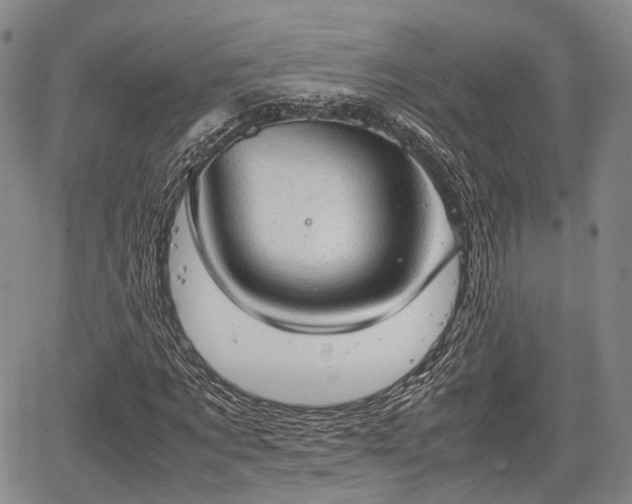 X0000067520869200604101324