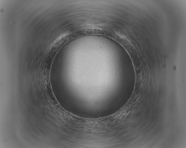 X0000067520870200604101324