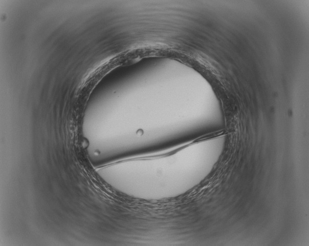 X0000067520872200604101324