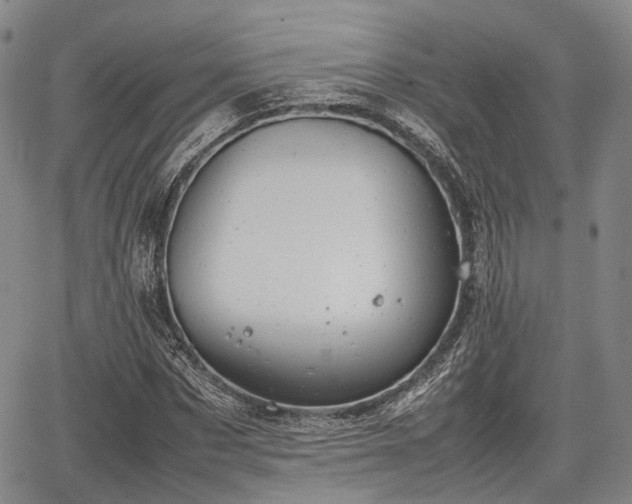 X0000067520873200604101324