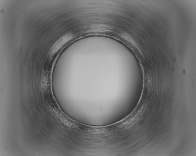 X0000067520874200604101324