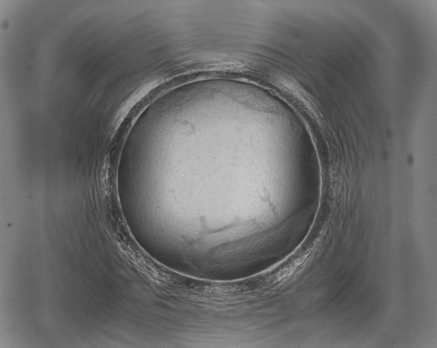 X0000067520875200604101324