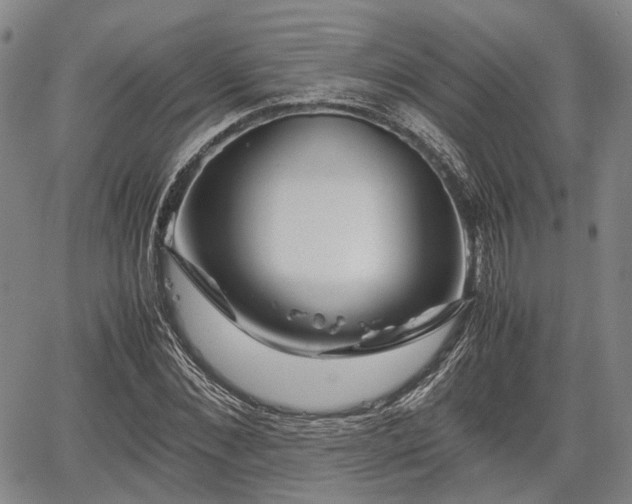 X0000067520876200604101324