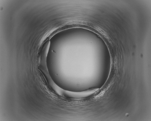 X0000067520877200604101324