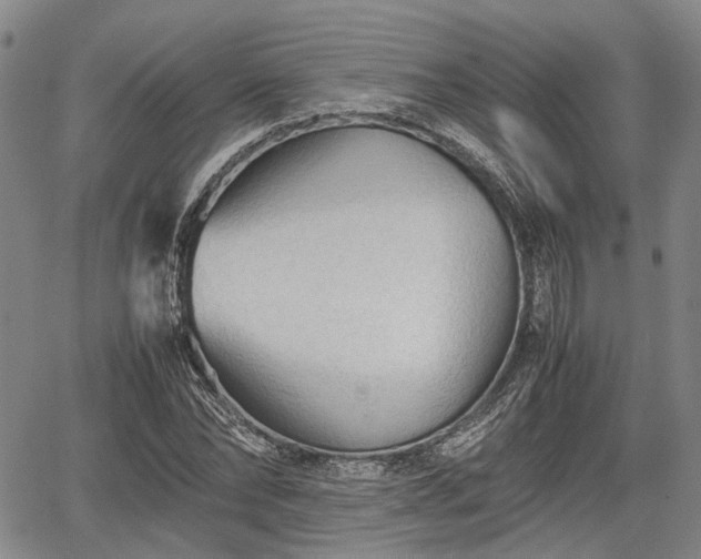 X0000067520878200604101324