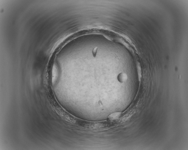 X0000067520879200604101324