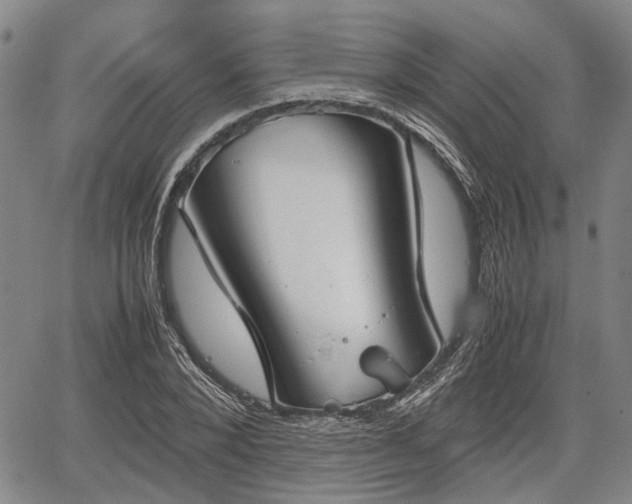 X0000067520880200604101324