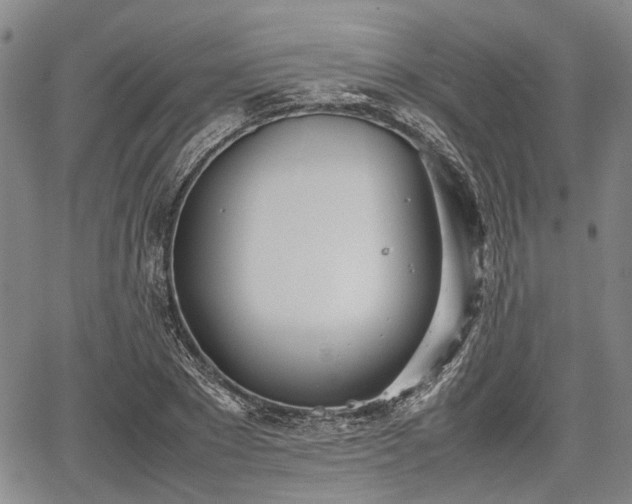 X0000067520881200604101324