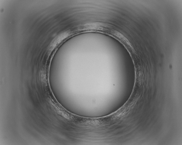 X0000067520882200604101324