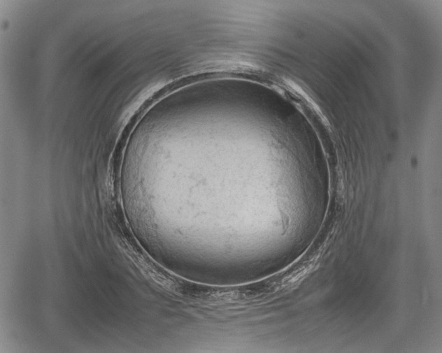 X0000067520883200604101324