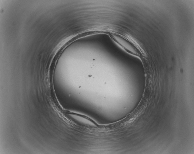 X0000067520884200604101324