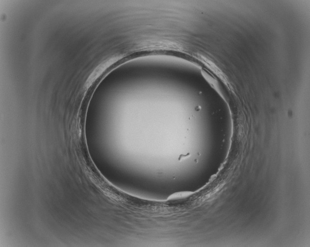 X0000067520885200604101324