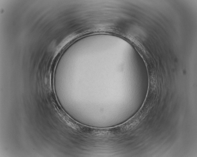 X0000067520886200604101324