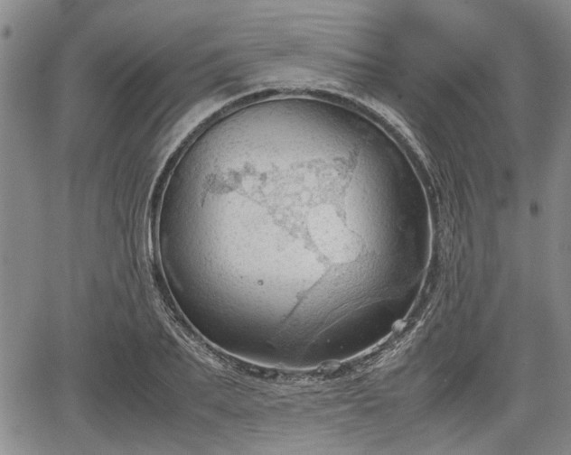 X0000067520887200604101324