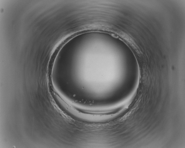 X0000067520888200604101324