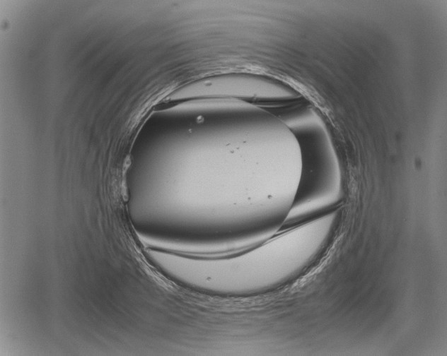 X0000067520889200604101324