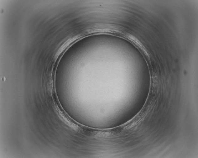 X0000067520890200604101324