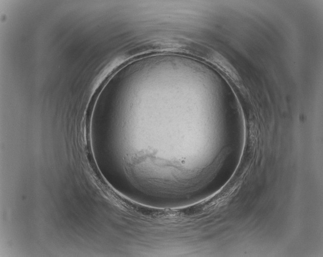 X0000067520891200604101324