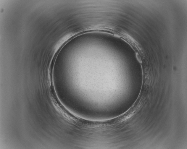 X0000067520892200604101324