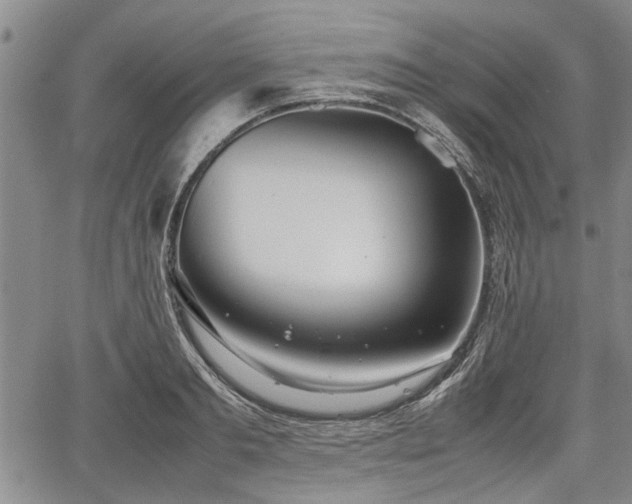 X0000067520893200604101323