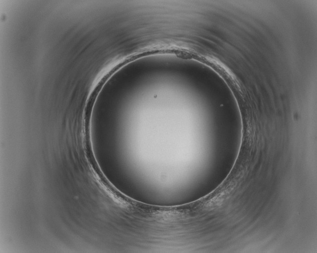 X0000067520894200604101323