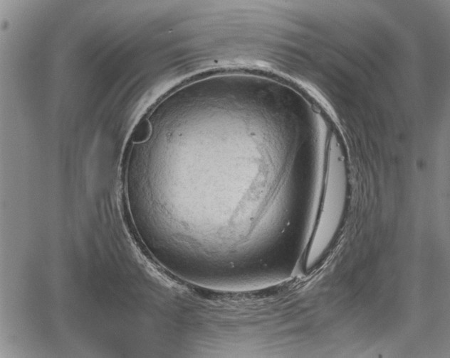 X0000067520895200604101323