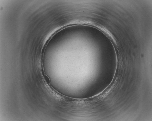 X0000067520896200604101323