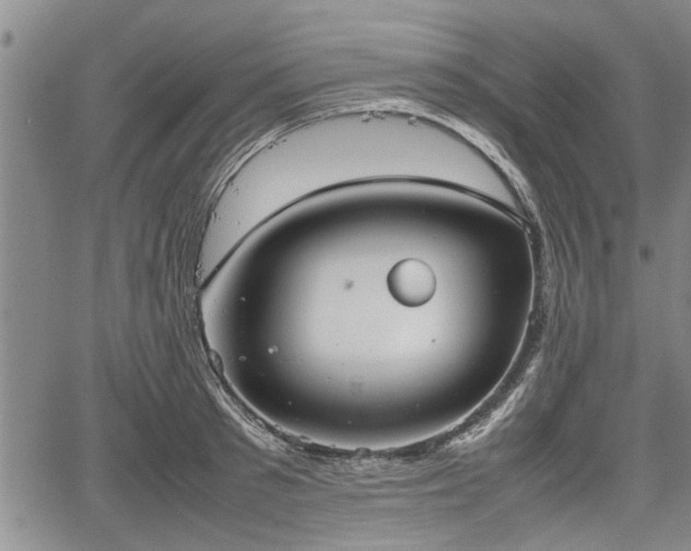 X0000067520897200604101323