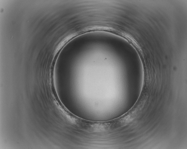 X0000067520898200604101323