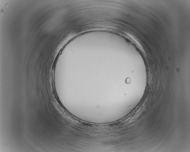 X0000067520899200604101323