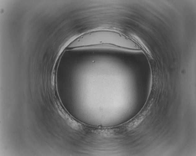 X0000067520900200604101323