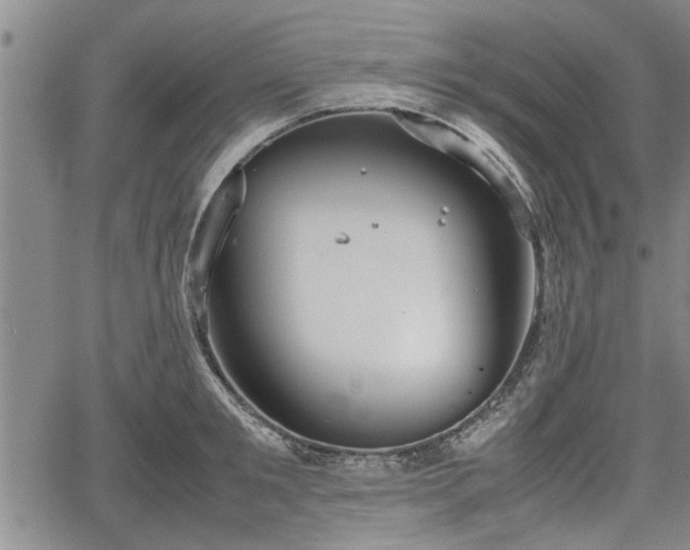 X0000067520901200604101323