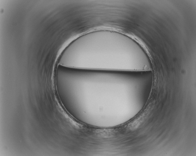 X0000067520902200604101323