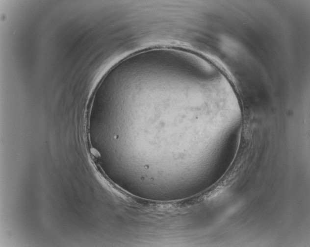 X0000067520903200604101323