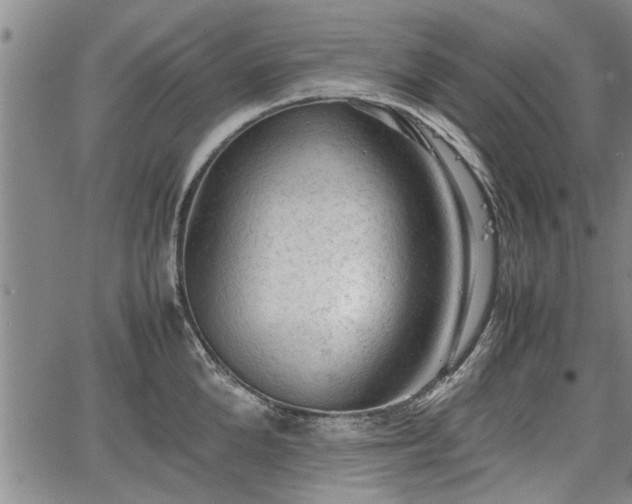 X0000067520904200604101323