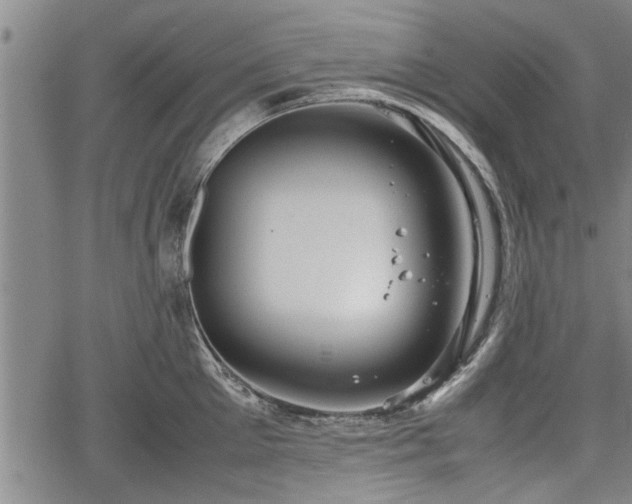 X0000067520905200604101323