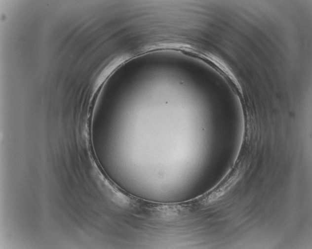 X0000067520906200604101323