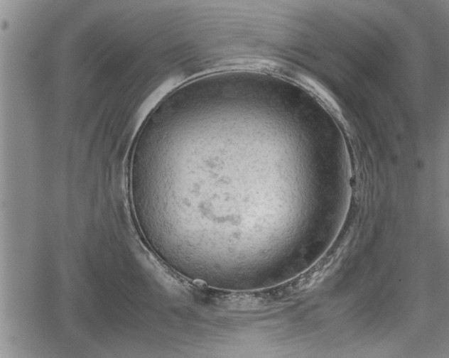 X0000067520907200604101323