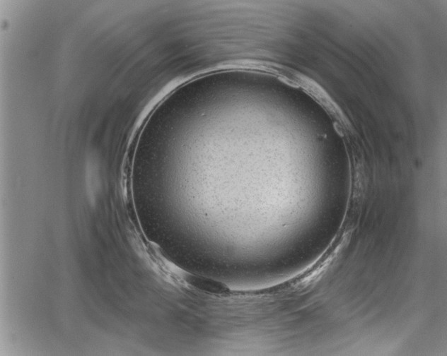 X0000067520908200604101323