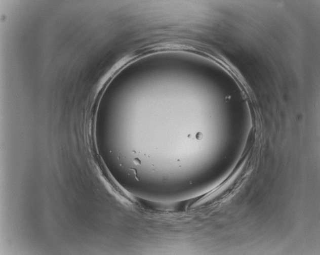 X0000067520909200604101323