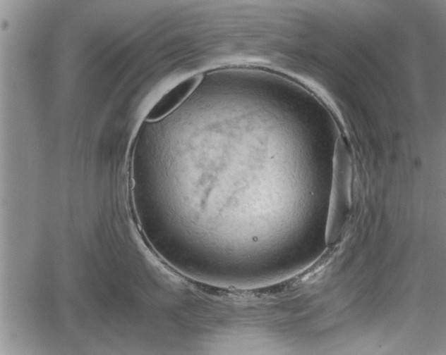 X0000067520911200604101323