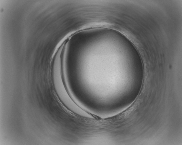 X0000067520912200604101323