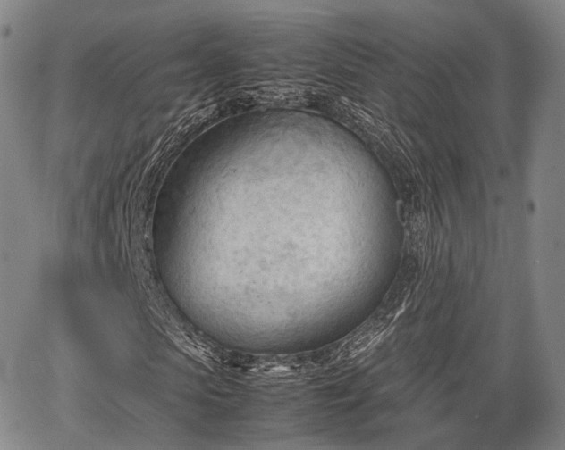 X0000067520913200604101322