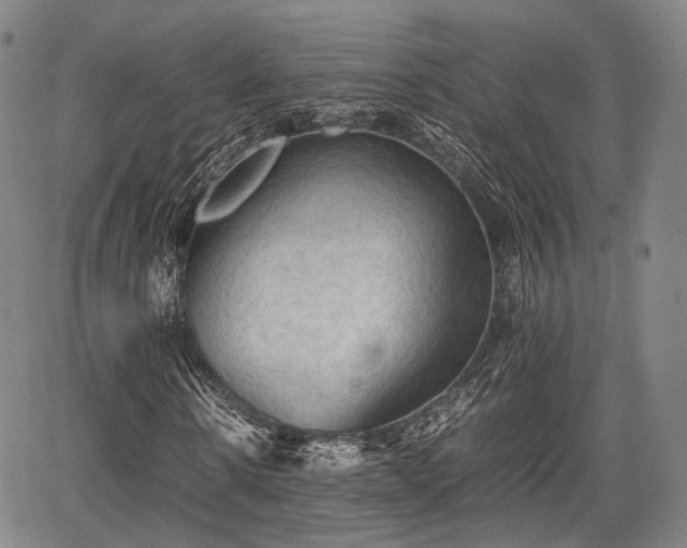 X0000067520914200604101322